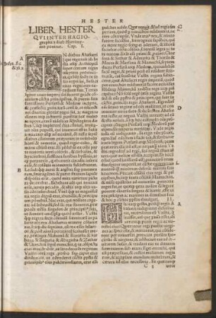 Liber Hester Qui Inter Hagiographa a divo Hieronymo ponitur.