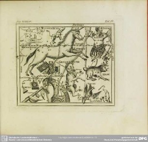 Fig. XXXIV