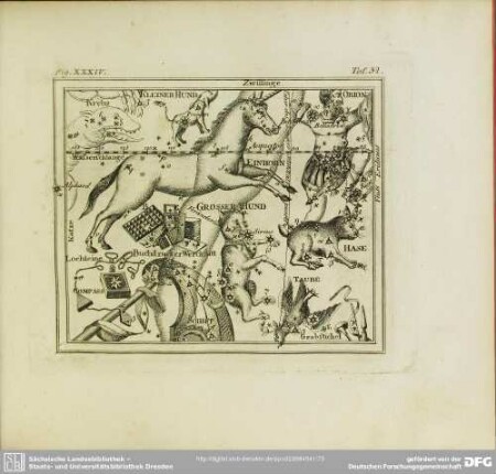 Fig. XXXIV