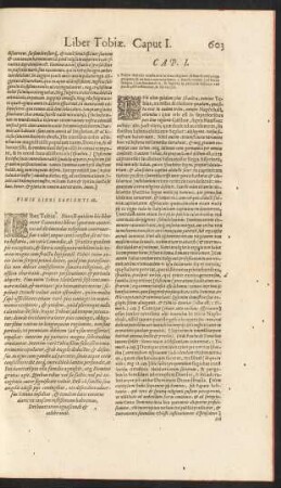 Liber Tobiae.