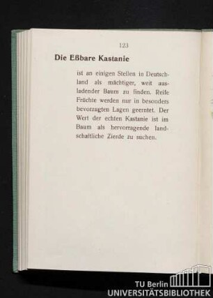 Die Eßbare Kastanie: Castanea vesca.