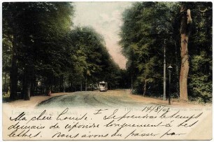 Leipzig, Fahrweg im Rosenthal