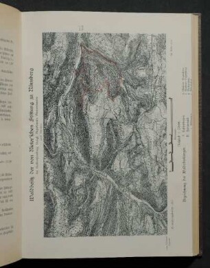 Waldbesitz der von Rieter'schen Stiftung zu Nürnberg bei Kalbsteinberg, königl. Bezirksamts Gunzenhausen.