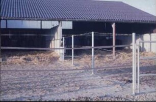 Fotografie: Pferdehaltung, Laufstallhaltung