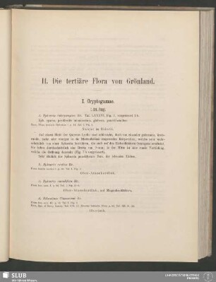 II. Die tertiäre Flora von Grönland