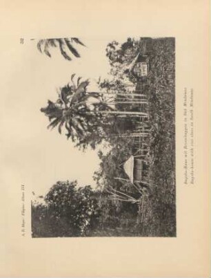 32. Bagobo-Haus mit Reisschuppen in Süd Mindanao = Bagobo-house with rice store in South Mindanao