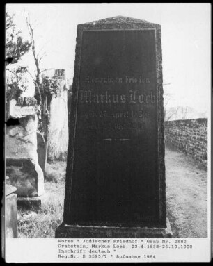 Grabstein von Markus Loeb (+ 1900.10.25)