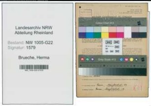 Entnazifizierung Herma Brueche , geb. 03.06.1901 ()