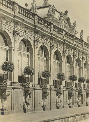 Dresden, Zwinger : Dresden-Altstadt. Zwinger, Bogengalerie "L" mit Steinkonsolen der alten Orangerie