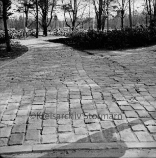 Vandalismus: Bürgerpark: beschädigte Sträucher am Hallenbad: davor Fahrzeugspuren: vorn und links Weg: hinten Fahrräder
