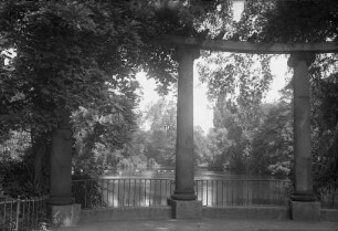Stadtgarten - Schwanensee