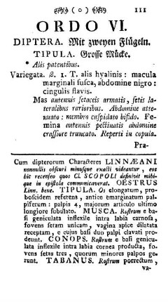 Ordo VI. Diptera. Mit zweyen Flügeln