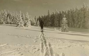 Erzgebirge. Skiläufer am Vergnügungseck in Schellerhau