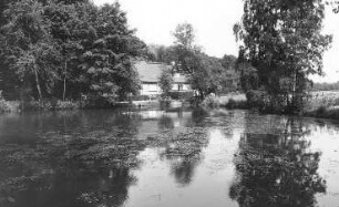 Hochkirch-Lehn. Mühlteich