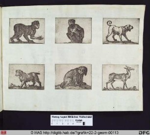 oben rechts: Ein stehender Hund, nach rechts gewandt.