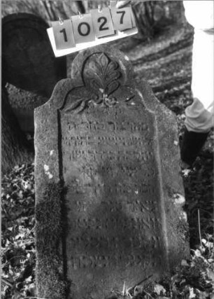 Grabstein 1027 (Index: 99751283) Material: Sandstein Zustand: leicht verwittert/geringer Textverlust Maße HxBxT: 102x54x9 cm Beschreibung: Stele, geschweift eingezogener Rundbogenabschluß, Schriftfeld eingetieft Symbolik: Blätter: Grabstein 1027