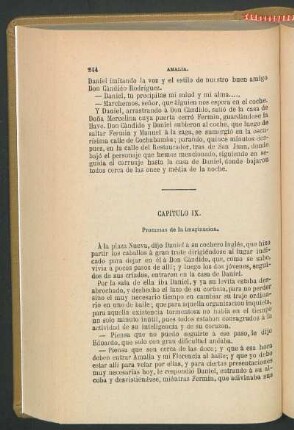 Capítulo IX. - Promesas de la imaginación.