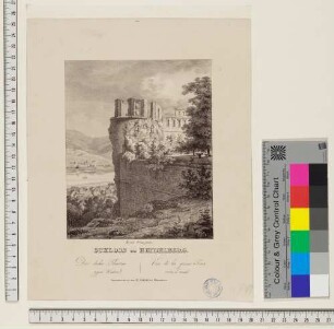 Heidelberger Schloss, der dicke Turm von Südwesten