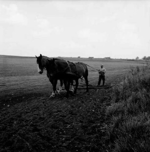 Gut Blumendorf: Landwirtschaft: Acker: Pferdegespann beim Schleppen: rechts dahinter Landarbeiter: vorn rechts Böschung mit Sträuchern: im Hintergrund Bundesstraße B 404 mit Lkws und Pkws