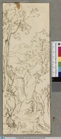 Lichter Wald. Eine Linkskulisse (?)