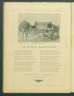 La chêne abandonné