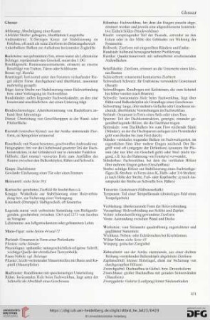 Glossar