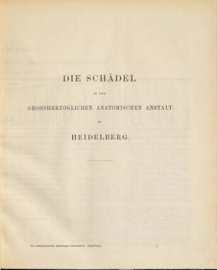 Die Schädel in der Grossherzoglichen Anatomischen Anstalt zu Heidelberg