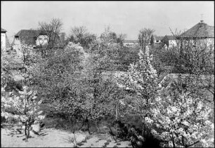 Havelse, Am Hasenberge, Obstgärten