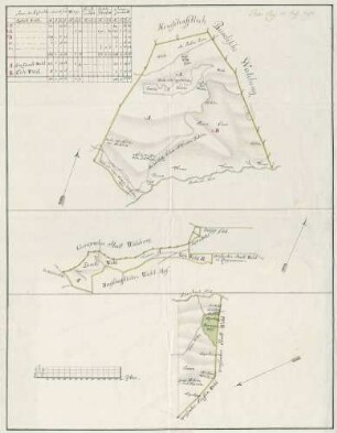 Oberamt Eberstein. Geometrischer Plan über den Roßstall-, Zank- und Eichwald in der Grafschaft Eberstein