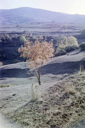 Landschaftsbild unweit von Bankja