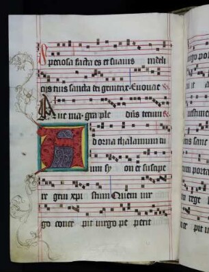 Zierinitiale: A(dorna thalamum tuum); Cadelle: A(ve) mit Profilgesichtern