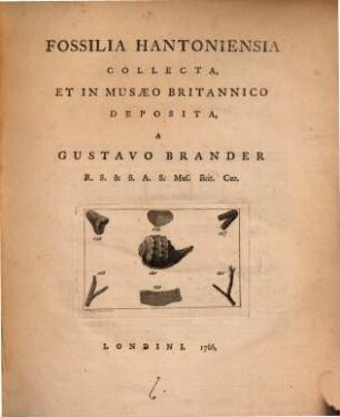 Fossilia Hantoniensia collecta, et in Musaeo Britannico deposita