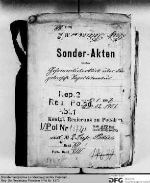 Gesamtüberblick über die polnische Tagesliteratur