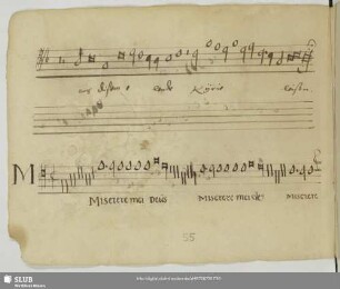 Josquin des Prez: Miserere
