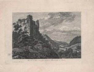 Blick vom Berg auf die Tharandter Burgruine mit Blick in das Weißeritztal in Richtung Hainsberg (Freital)