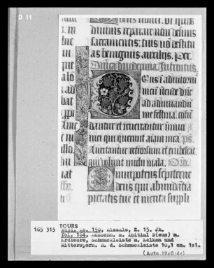 Missale aus Marmoutier — Ausschnitt mit Initiale D und Erdbeere im Inneren, Folio 164