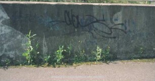 'CHons'