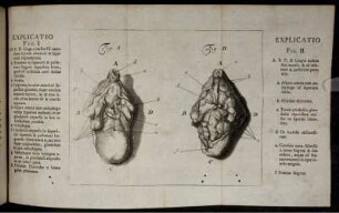 Fig. I., Fig. II. [dazu Explicatio Fig. I., II.]