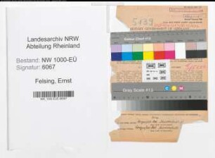 Entnazifizierung Ernst Felsing, geb. 18.07.1897 (Fabrikant)