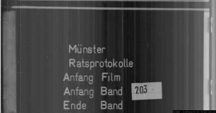 Ratsprotokolle des Jahres 1793