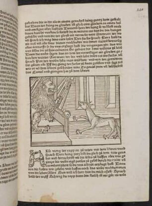 Die drei Gefährten des Löwens und das Kamel: Der Fuchs vor dem Löwen; (Kapitel II: Vom Löwen und dem Ochsen)