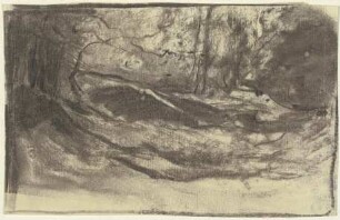 Lichtung im Wald