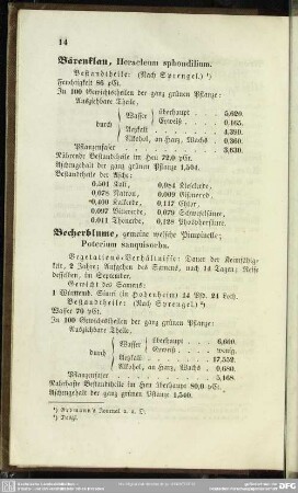 Becherblume, gemeine welsche Pimpinelle; Poterium sanquisorba