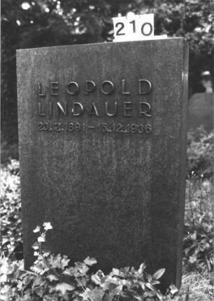 Grabstein 210 (Index: 100082133) Material: Granit, aufgesetzte Metallbuchstaben Zustand: gut Maße HxBxT: 146x95x23 cm Beschreibung: rechteckige Stele, Sockel: Grabstein 210