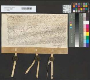 Notarialurkunde über die von den Einsassen von Hülchrath dem Koadjutor Ferdinand geleistete Huldigung.