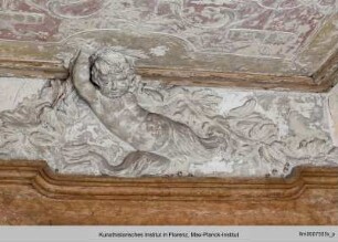 Putten mit Akanthuslaub : Putto mit Akanthuslaub