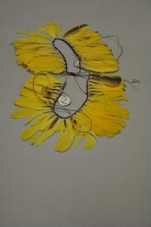 Federschmuck