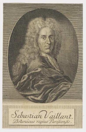 Bildnis des Sebastian Vaillant