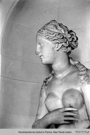 Venus (Kopf antik) : Kopf der Venus (Statue 16.-17.Jhd.)