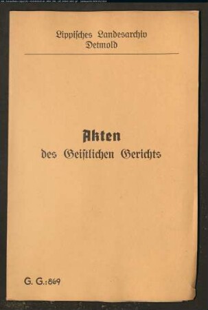 Waise Anna Ilsabein Hanßelle zu Schlangen gegen Johann Simon Wellner, ältesten Sohn von Johann Bernd Welner in Hornoldendorf, wegen einer Schwängerung und Eheklage